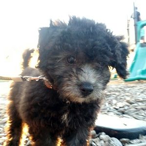 Meet your Posher, Gina